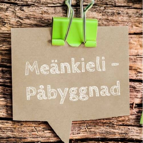 Meänkieli påbyggnad Profil